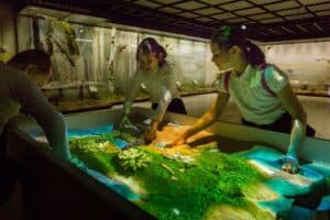 State Darwin Museum - Image 1
