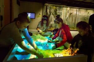 State Darwin Museum - Image 2