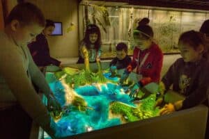 State Darwin Museum - Image 3