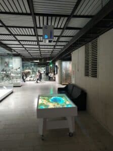 State Darwin Museum - Image 4