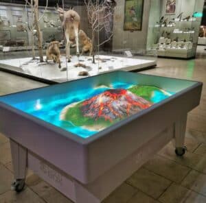 State Darwin Museum - Image 6